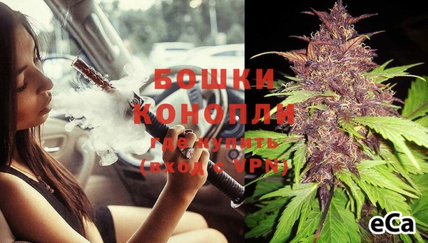 тгк Володарск