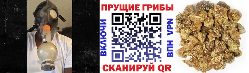 blacksprut ONION купить наркотик Мантурово Псилоцибиновые грибы прущие грибы